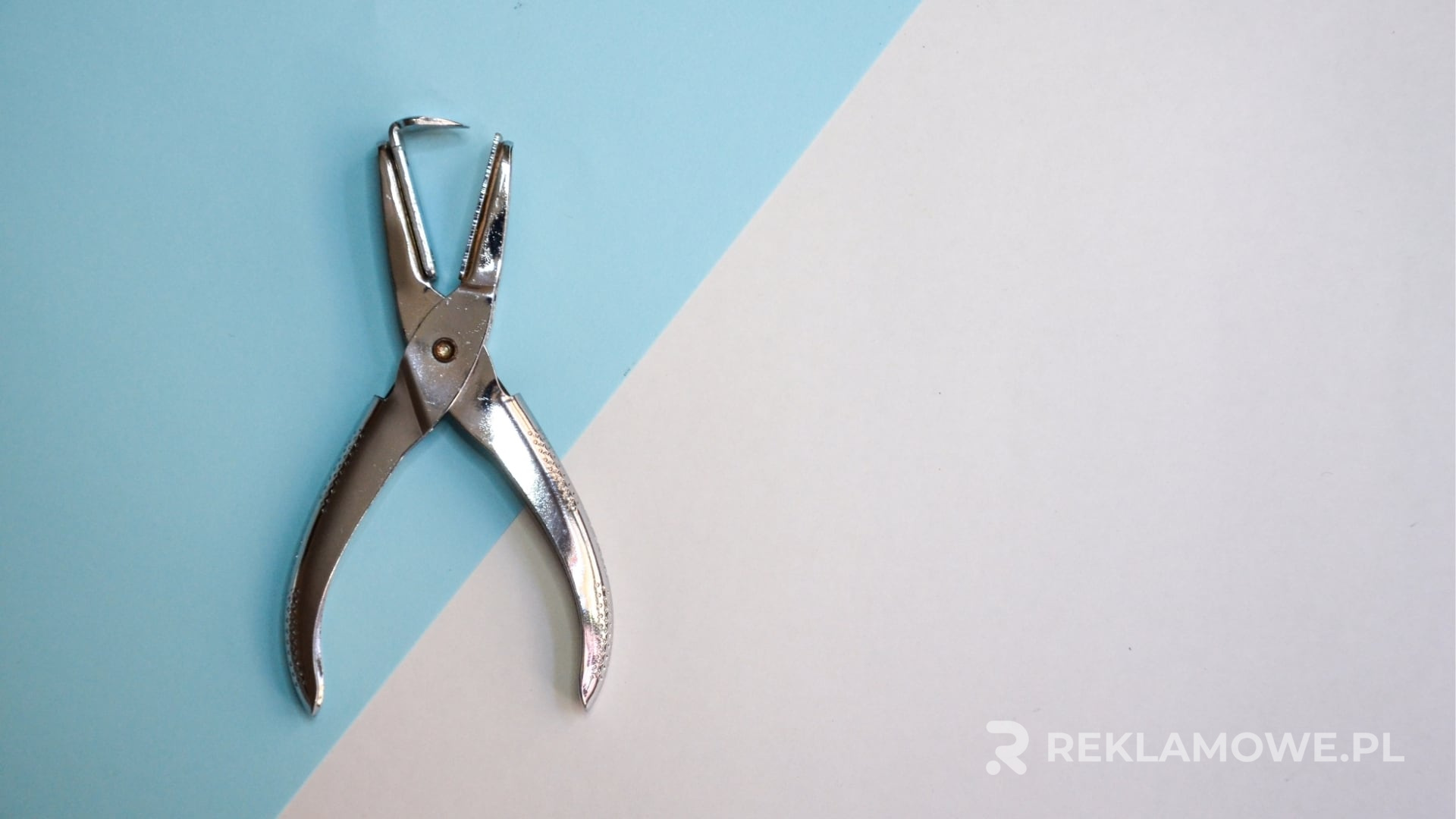 Uczestnicy szkolenia z narzędzi reklamowych